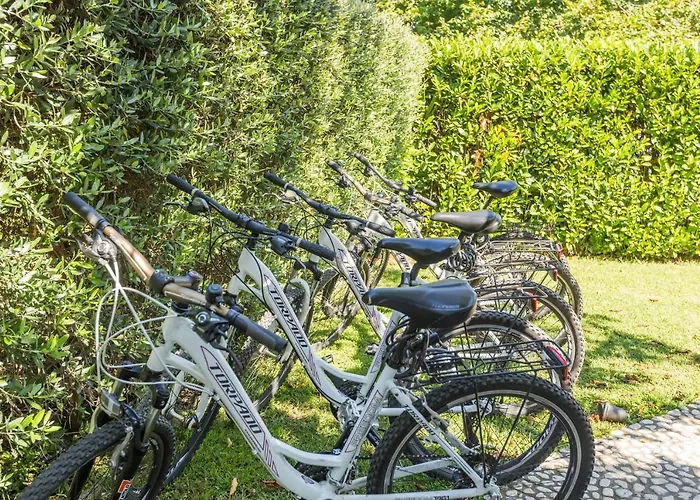 Bori בית הארחה פורץ